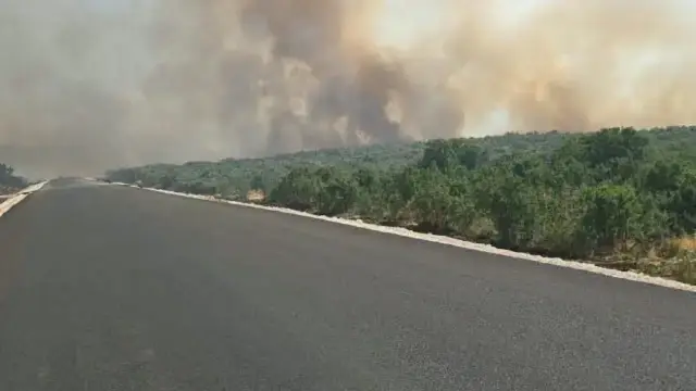 Diyarbakır&#039;da orman yangını