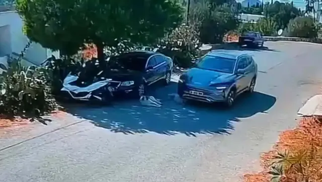 Bodrum’da tepki çeken görüntü! Otomobil 2 köpeğin üzerinden geçti, sürücü yoluna devam etti