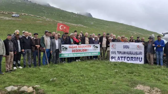 Ordu