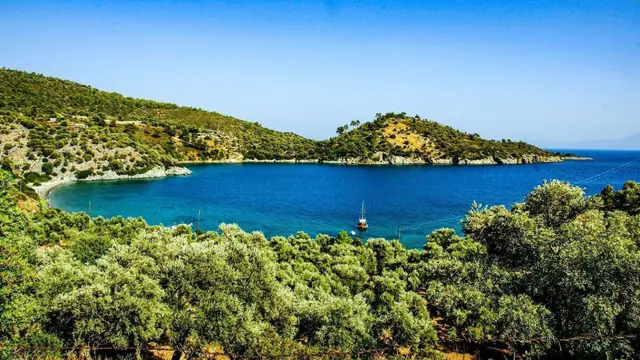 Bodrum kıyılarındaki 175 dönümlük Hazine arazisi özelleştirme listesinde