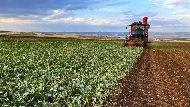 Motorin 100 lirayı aştı: Tarladan sofraya maliyet katlanıyor